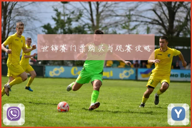 世锦赛门票购买与观赛攻略