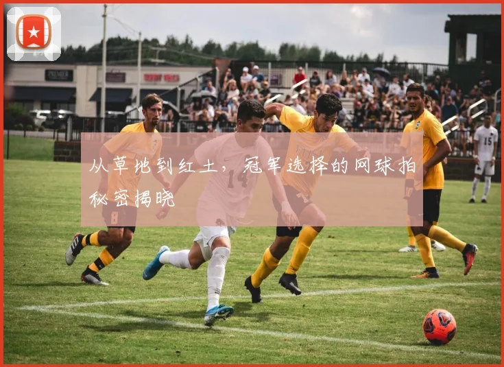 从草地到红土，冠军选择的网球拍秘密揭晓